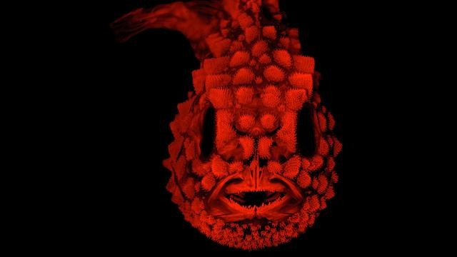 Ilustrasi Ikan Iblis Merah (Foto:Istimewa)