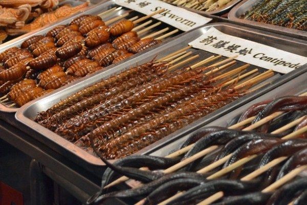 Pasar Malam yang Jual Camilan Serangga Buka Lagi, Gak Takut Covid-19? (Foto: Istimewa)